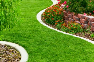 Enhances landscape appearance.