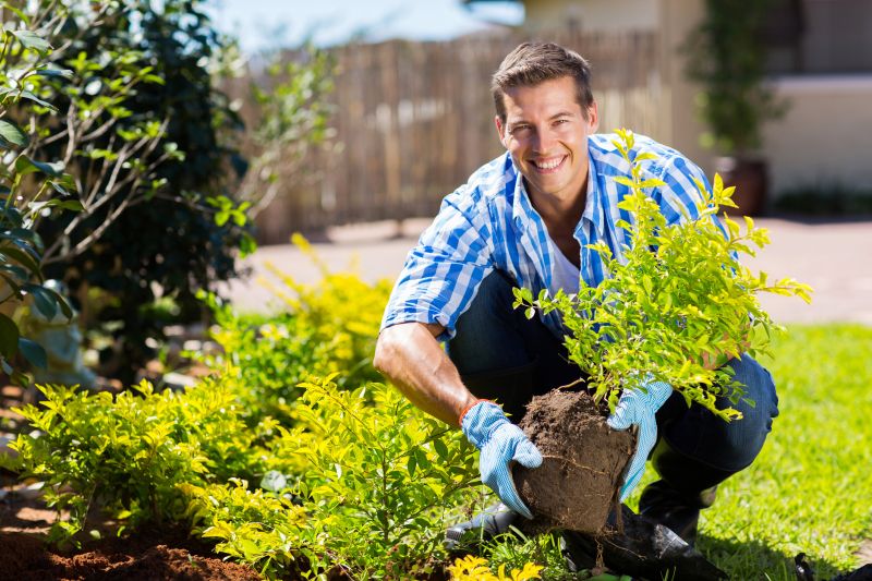 Planting Service in Ventura County, CA