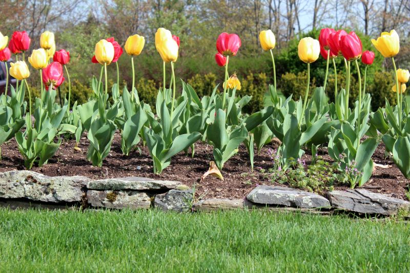 Who Does Garden Edgings